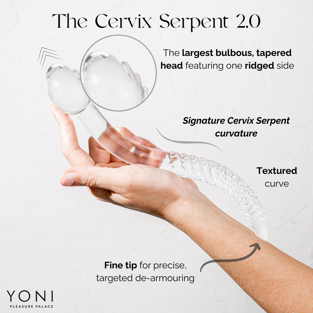 The Cervix Serpent 2.0 Midnight Black Glass Dildo Pleasure Wand  Splash  Blanket US